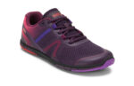 Gradient Purple