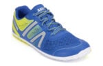 Victory Blue / Sulphur