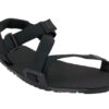 Coal Black / Black