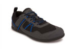 Asphalt / Blue