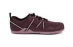 Fig / Elderberry
