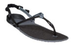 Charcoal / Coal Black