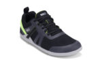Asphalt / Black