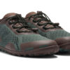 Dark Forest / Java Brown