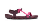 Fuchsia Purple